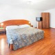 Attic Apartment - Apartment House Zizkov Praha