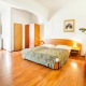 Triple room - Apartment House Zizkov Praha